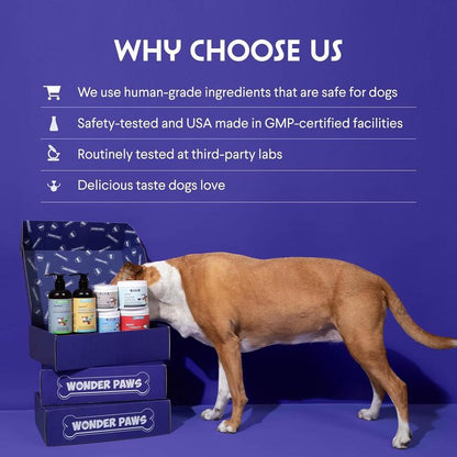 Mandara Turkey Tail — Hongo Cola de Pavo Orgánico para Perros