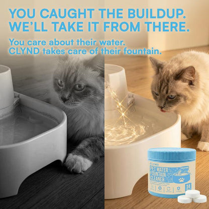 MANDARA™ Fountain Deep Clean Tabs