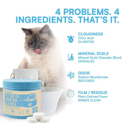 MANDARA™ Fountain Deep Clean Tabs